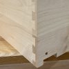 Maple - Image 2